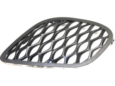 Dodge 68280492AA Lamp Cover
