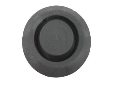 Dodge 55177482AA Hinge Plug