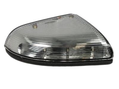 Dodge 68064949AA LAMP Turn Signal