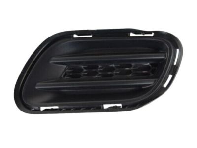 Jeep 68203222AA Lamp Cover