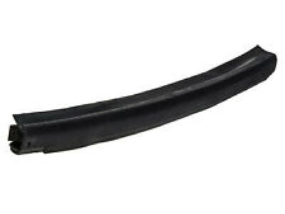 Ram 55364168AJ Side Molding