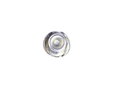 Mopar 68428688AA Button Glass Backlight - Ebl