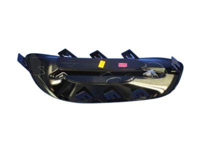 Dodge 68163980AA Lamp Cover