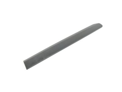 Ram ProMaster City Door Moldings - 5YF70JXWAA