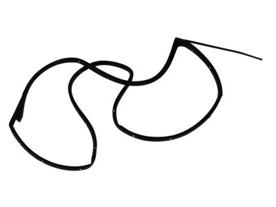 Mopar 55399186AE Weatherstrip Rear Door Opening On The Door