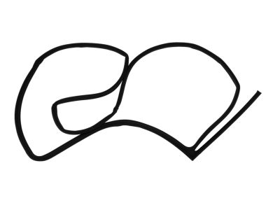 Mopar 55399186AE Weatherstrip Rear Door Opening On The Door