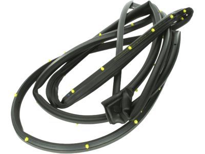Ram 55112362AD WEATHERSTRIP Rear Door Mounted