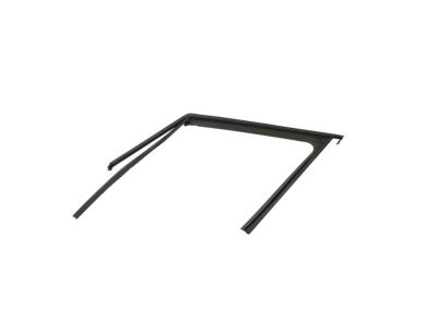 Mopar 68361343AA Weatherstrip Front Door Flush Glass