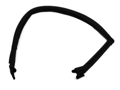 Dodge 4575890AF RUN Front Door Glass