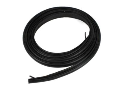 Dodge 5054274AC WEATHERSTRIP Liftgate Opening