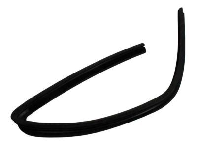 Mopar 55276164AF Seal Rear Door