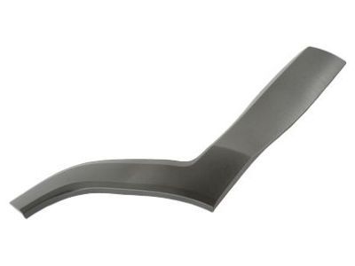 Jeep 5VX88LXHAA MOLDING Rear Door