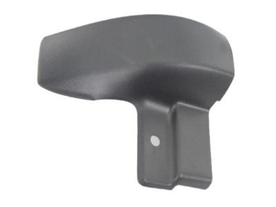 Dodge 1AS80XXXAE Molding