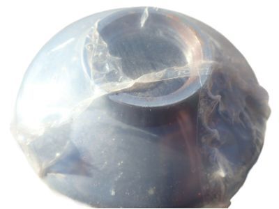 Dodge 4874274AC Fuel Filter