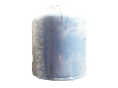 Dodge 4874274AC Fuel Filter