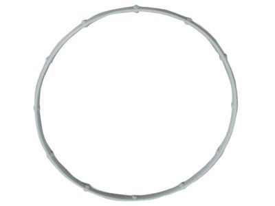 Jeep 53022320AB Intake Manifold Mount Gasket