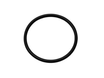Mopar 5080242AA O Ring