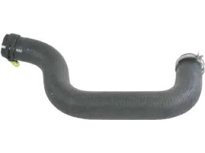 Mopar 5058735AD Hose And Clamp Radiator Outlet