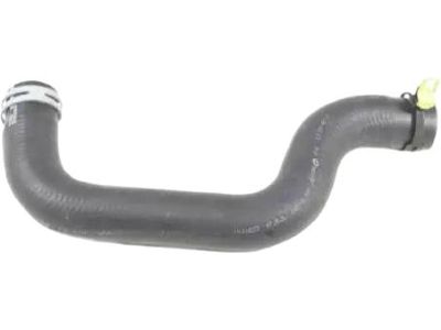 Mopar 5058735AD Hose And Clamp Radiator Outlet