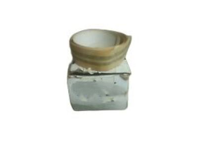 Chrysler 4630499 Front Molding