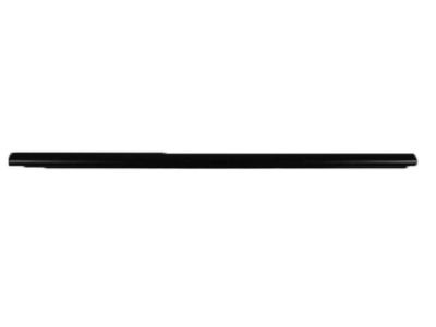 Dodge Durango Door Seal - 55362095AB