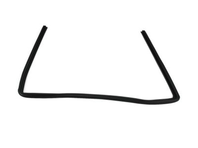 Mopar 5076870AD Weatherstrip Front Door Glass