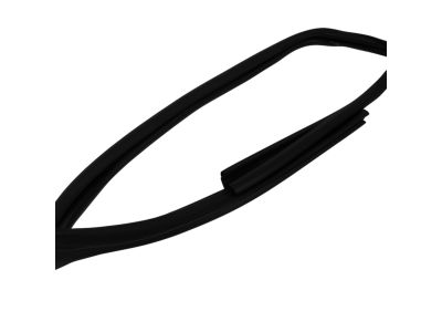 Mopar 5076870AD Weatherstrip Front Door Glass