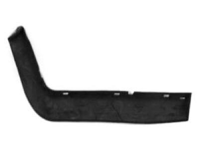 Mopar 5140602AA Welt, Passenger Side