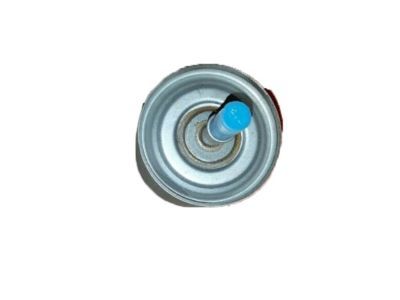 Dodge Intrepid Fuel Filter - 4554040