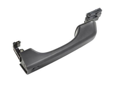 Jeep 68307269AC HANDLE Exterior Door