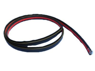 Ram 68289840AC Roof Molding
