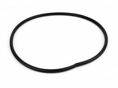 Mopar 1KW36DX9AG Weatherstrip Rear Door Body Mounted