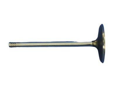 Ram 5045487AC VALVE Engine Intake