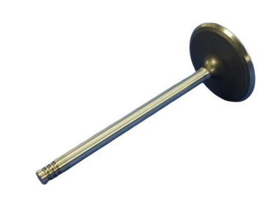 Ram 5045487AC VALVE Engine Intake