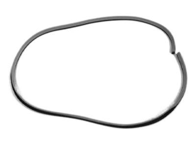 Dodge Magnum Door Seal - UQ20DW1AD