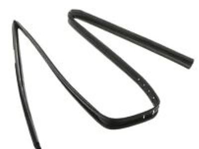 Dodge Window Run - 5257963AF