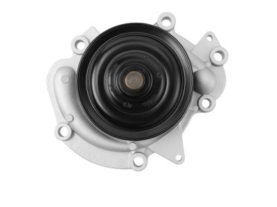 Mopar 68087367AA Pump Water