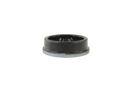 Mopar 68302330AA Cushion Body Hold Down A - Pillar, Lower