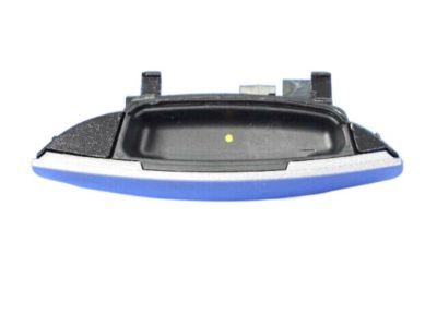 Dodge 1MZ81JSCAG HANDLE Exterior Door