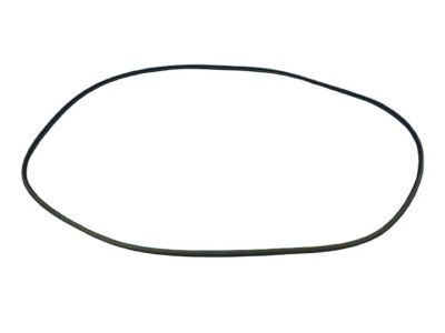 Jeep 5183172AB SEAL Sunroof Glass