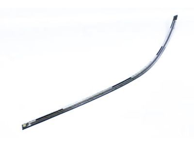 Chrysler 68224368AD MOLDING Day Light Opening Front Door