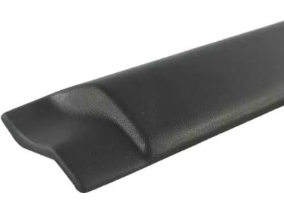 Mopar 5DY19DX9AC Molding Rear Door