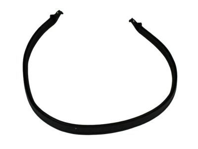 Mopar 68048708AD Seal Strip, Rear