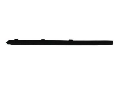 Dodge 55276959AB WEATHERSTRIP Door Belt