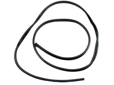 Mopar 68226111AA Weatherstrip Sliding Door