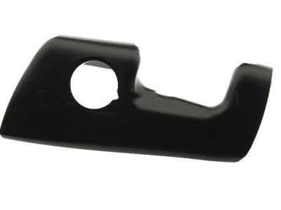 Chrysler 4815883AB Bezel