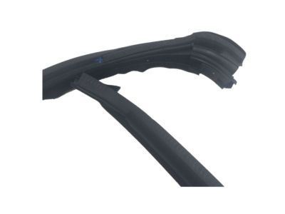 Dodge 4575891AF RUN Front Door Glass