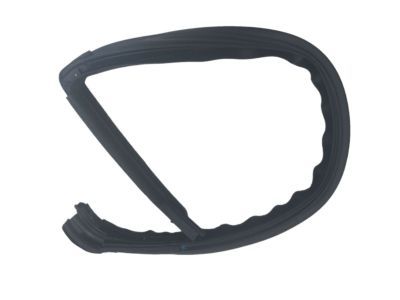 Dodge 4575891AF RUN Front Door Glass