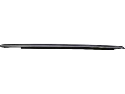 Mopar 4805998AF Weatherstrip Rear Door Belt Outer