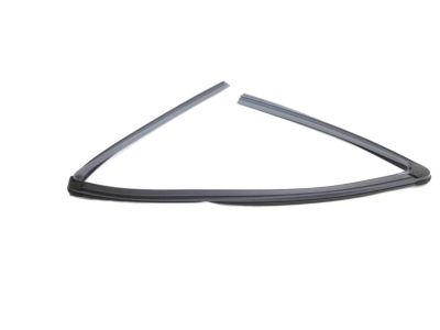 Mopar 68285727AE Run Weatherstrip, Front Driver Side